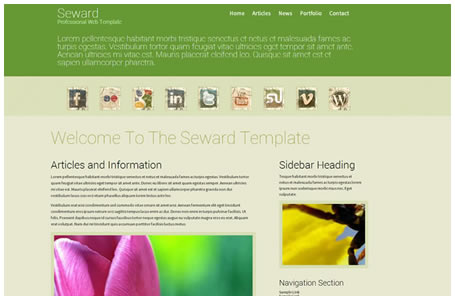 Professional Dreamweaver Web Templates